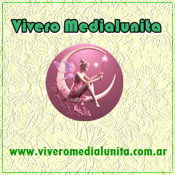 Vivero Medialunita